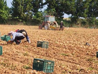 알 수 없음님의 자유주제 · 자유게시판 작성글 사진
