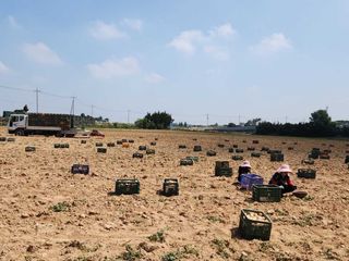 알 수 없음님의 자유주제 · 자유게시판 작성글 사진