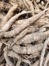 팜모닝 · 게시글 이미지