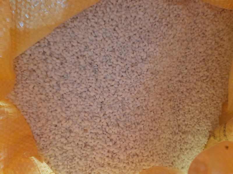 논산 농부 부인님의 장터 판매 상품 [햇동진찹쌀20키로] 첨부 사진