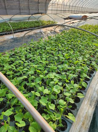 오여사님의 기타작물 · 자유게시판 작성글 사진