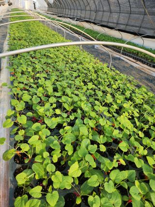 오여사님의 기타작물 · 자유게시판 작성글 사진