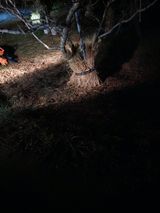 팜모닝 농사, 무엇이든 물어보세요!·참여글 게시글 이미지