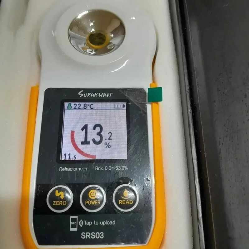 대정골귤꽃농원님의 장터 판매 상품 [대과 마감됐습니다 ] 첨부 사진