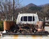 팜모닝 자유주제·자유게시판 게시글 이미지