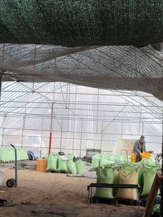 정무이님의 작성글 사진