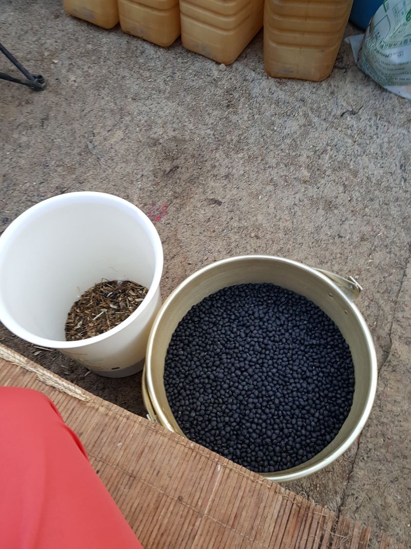 장터 상품 [20키로] 썸네일