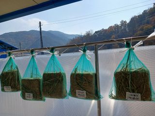 이상애초보농업님의 자유주제 · 자유게시판 작성글 사진