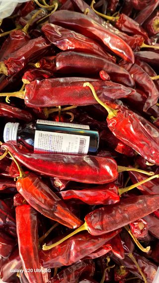 최원빈님의 작성글 사진