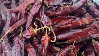 최원빈님의 작성글 사진