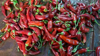 최원빈님의 작성글 사진