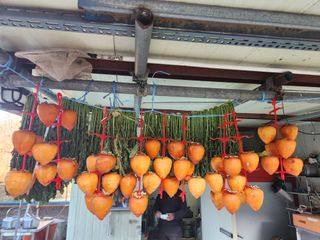 고영희님의 겨울 대비 어떻게 하셨나요 · 참여글 작성글 사진