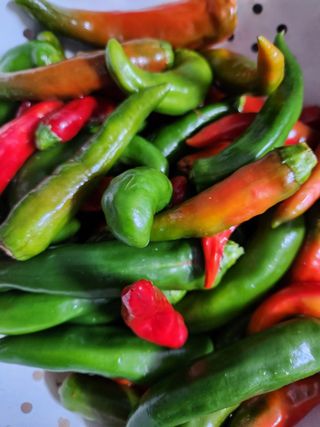 고영희님의 겨울 대비 어떻게 하셨나요 · 참여글 작성글 사진