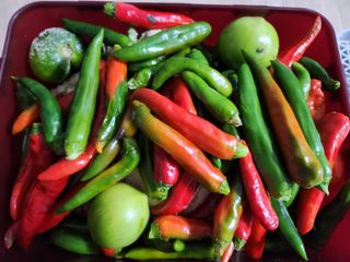 고영희님의 겨울 대비 어떻게 하셨나요 · 참여글 작성글 사진