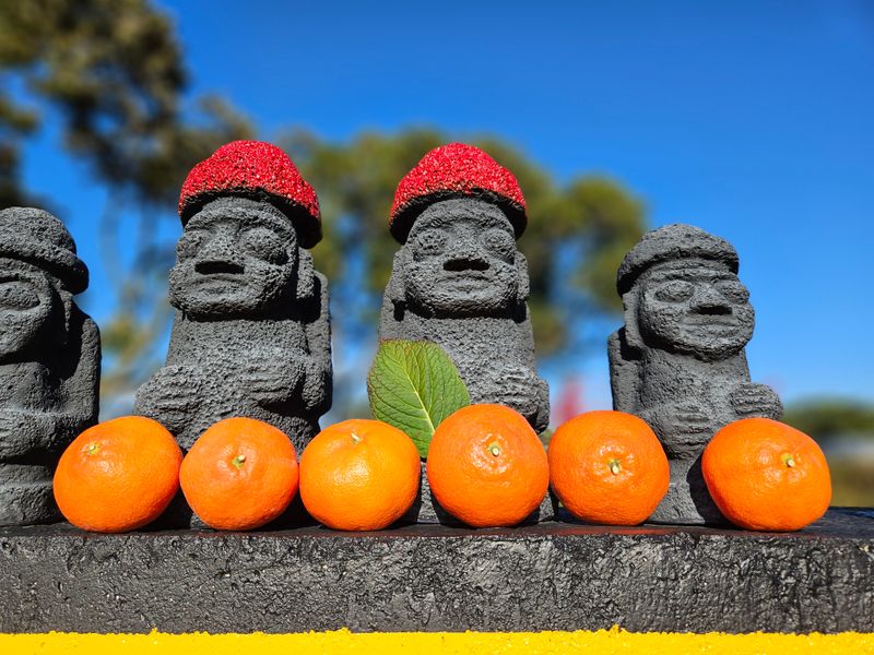 선물차롱님의 장터 판매 상품 [💢한정판매💢꼬마귤 주문가능/왕귤품절] 첨부 사진