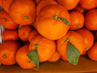 선물차롱님의 작성글 사진