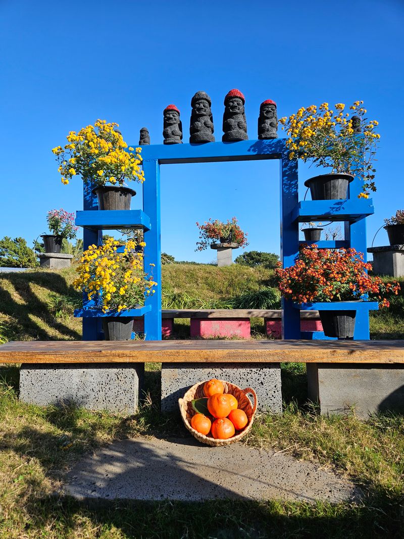 선물차롱님의 장터 판매 상품 [💢한정판매💢꼬마귤 주문가능/왕귤품절] 첨부 사진