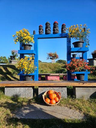 선물차롱님의 작성글 사진