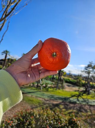 선물차롱님의 작성글 사진
