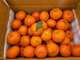 선물차롱님의 작성글 사진