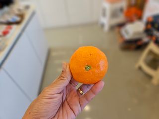 선물차롱님의 작성글 사진