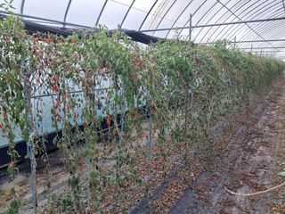 이천순님의 자유주제 · 자유게시판 작성글 사진