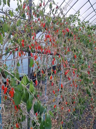 이천순님의 자유주제 · 자유게시판 작성글 사진