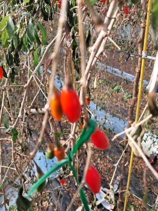 이천순님의 자유주제 · 자유게시판 작성글 사진