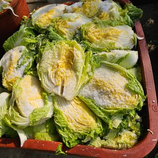 백용기님의 자유주제 · 자유게시판 작성글 사진