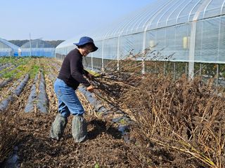 채경희님의 작성글 사진