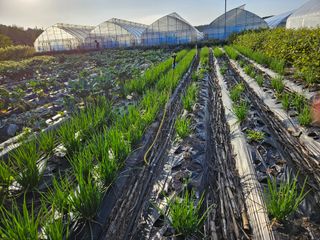 채경희님의 작성글 사진