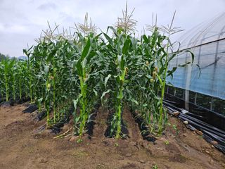 채경희님의 작성글 사진