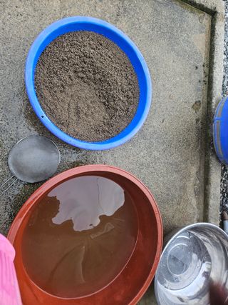 채경희님의 작성글 사진