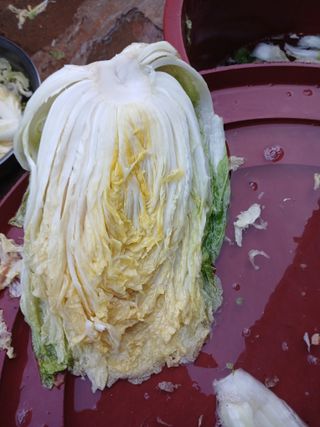 보미어르신님의 작성글 사진