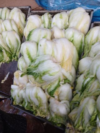 보미어르신님의 작성글 사진