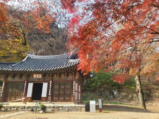 동해리님의 자유주제 · 자유게시판 작성글 사진