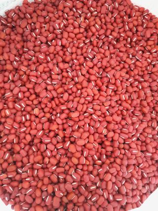 논산 농부 부인님의 작성글 사진