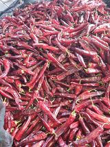 팜모닝 · 게시글 이미지