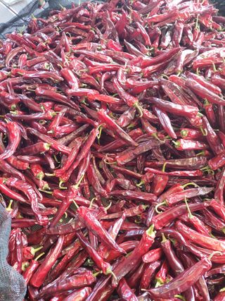 김종옥님의 작성글 사진