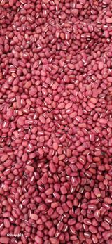 팜모닝 · 게시글 이미지