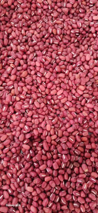 논산 농부 부인님의 작성글 사진