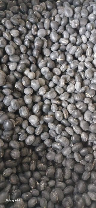 논산 농부 부인님의 작성글 사진