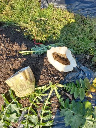 이 광로님의 농사, 무엇이든 물어보세요! · 참여글 작성글 사진