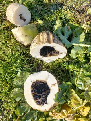 이 광로님의 농사, 무엇이든 물어보세요! · 참여글 작성글 사진