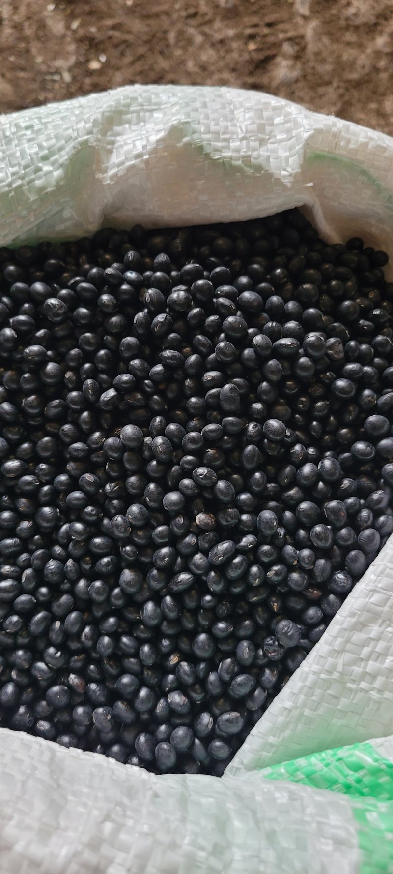 장터 상품 [약콩  쥐눈이콩 1kg] 썸네일