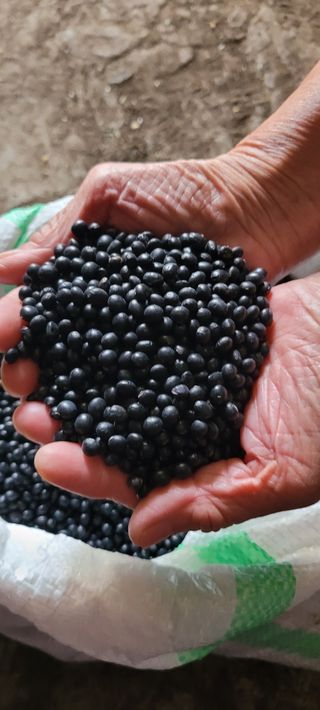 이의도님의 작성글 사진