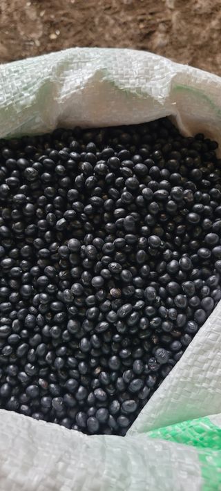 이의도님의 작성글 사진