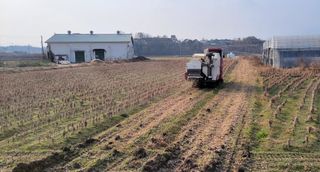 김중언님의 콩 · 자유게시판 작성글 사진