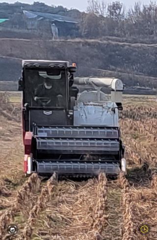 김중언님의 콩 · 자유게시판 작성글 사진