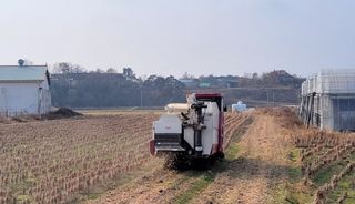 김중언님의 콩 · 자유게시판 작성글 사진